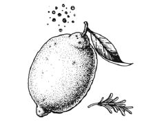 Иллюстрация к книге — Умбрия – зеленое сердце Италии. Тайна старого аббатства и печенье святого Франциска [i_099.jpg]