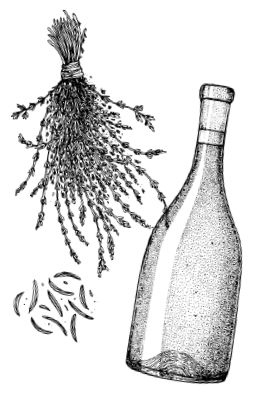 Иллюстрация к книге — Умбрия – зеленое сердце Италии. Тайна старого аббатства и печенье святого Франциска [i_103.jpg]