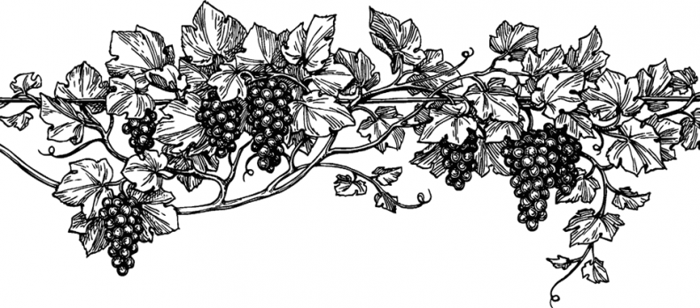 Иллюстрация к книге — Увлекательная психология [i_011.jpg]