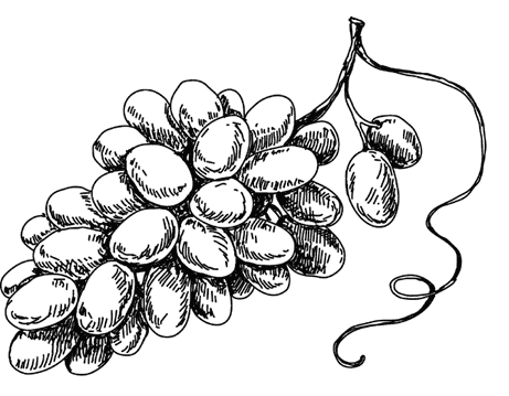 Иллюстрация к книге — Увлекательная психология [i_012.jpg]