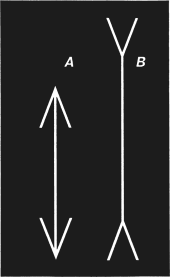 Иллюстрация к книге — Увлекательная психология [i_034.jpg]