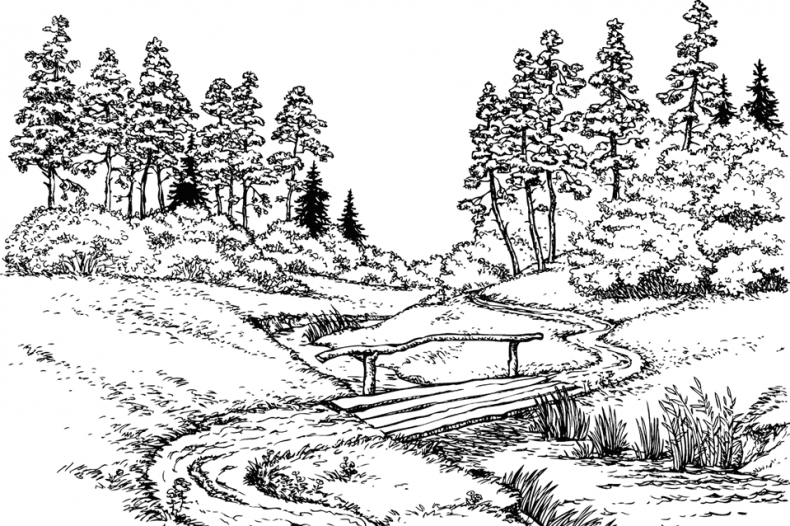 Иллюстрация к книге — Увлекательная психология [i_055.jpg]