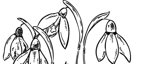 Иллюстрация к книге — Увлекательная психология [i_085.jpg]