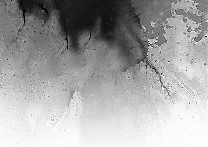 Иллюстрация к книге — Тени. Сплетенные тьмой [i_001.jpg]