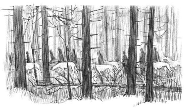 Иллюстрация к книге — Чудовы луга [i_031.jpg]