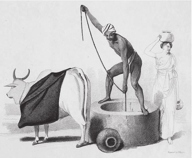 Иллюстрация к книге — Индийский хлопок и британский интерес. Овеществленная политика в колониальную эпоху [i_007.jpg]