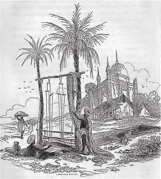 Иллюстрация к книге — Индийский хлопок и британский интерес. Овеществленная политика в колониальную эпоху [i_027.jpg]