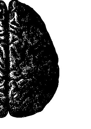 Иллюстрация к книге — По голове себе постучи. Вся правда о мигрени и другой головной боли [i_005.jpg]