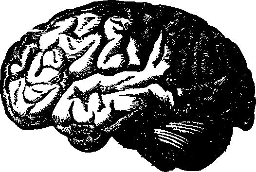 Иллюстрация к книге — По голове себе постучи. Вся правда о мигрени и другой головной боли [i_020.jpg]