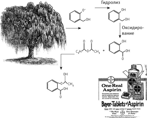Иллюстрация к книге — По голове себе постучи. Вся правда о мигрени и другой головной боли [i_053.jpg]