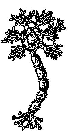 Иллюстрация к книге — По голове себе постучи. Вся правда о мигрени и другой головной боли [i_062.jpg]