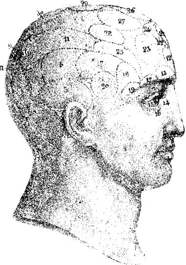 Иллюстрация к книге — По голове себе постучи. Вся правда о мигрени и другой головной боли [i_072.jpg]