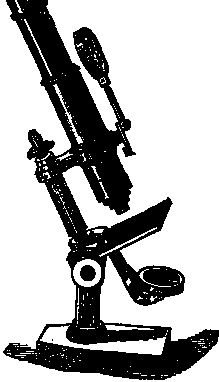 Иллюстрация к книге — По голове себе постучи. Вся правда о мигрени и другой головной боли [i_078.jpg]