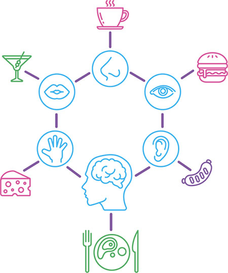 Иллюстрация к книге — Нейрогастрономия. Почему мозг создает вкус еды и как этим управлять [i_001.jpg]