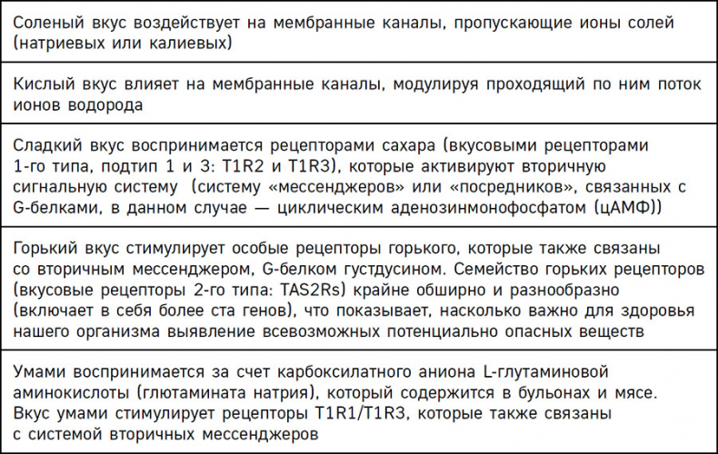 Иллюстрация к книге — Нейрогастрономия. Почему мозг создает вкус еды и как этим управлять [i_039.jpg]