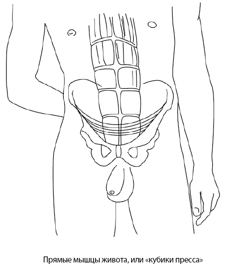 Иллюстрация к книге — Он снова кончает. Устрой мужчине лучший секс, которого у него никогда не было [i_006.jpg]