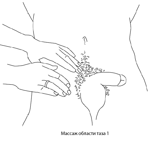 Иллюстрация к книге — Он снова кончает. Устрой мужчине лучший секс, которого у него никогда не было [i_008.jpg]