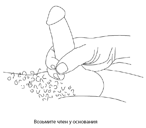 Иллюстрация к книге — Он снова кончает. Устрой мужчине лучший секс, которого у него никогда не было [i_012.jpg]