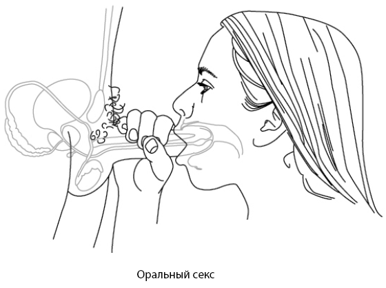Иллюстрация к книге — Он снова кончает. Устрой мужчине лучший секс, которого у него никогда не было [i_013.jpg]