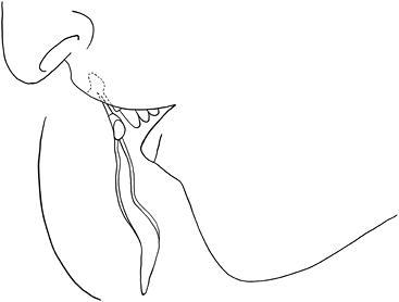 Иллюстрация к книге — Она кончает первой. Как доставить женщине наслаждение [i_010.jpg]