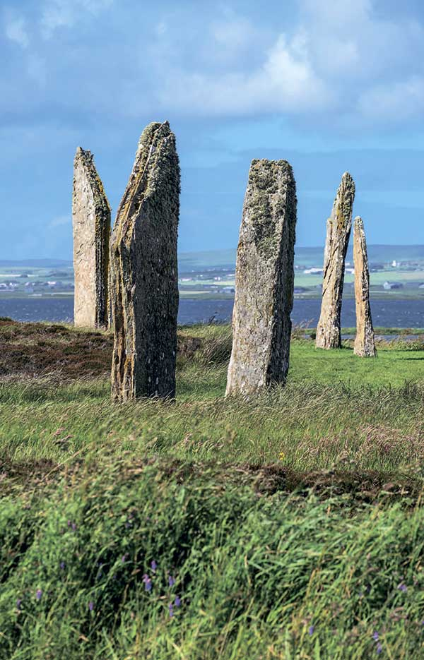 Иллюстрация к книге — Как начать разбираться в архитектуре [i_005.jpg]