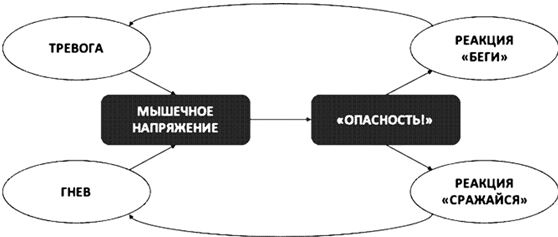 Иллюстрация к книге — Психосоматика. Как выйти из адского круга панических атак, беспокойства, стресса и тревожных состояний. 20 работающих способов [i_023.jpg]