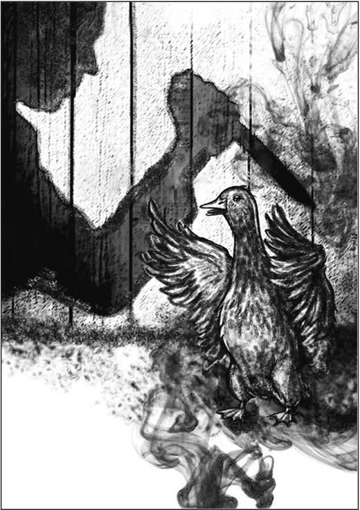 Иллюстрация к книге — Апофения [i_008.jpg]