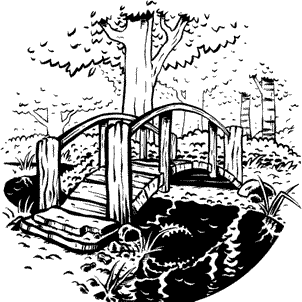 Иллюстрация к книге — Кривотопь. Перевёртыш [i_005.jpg]