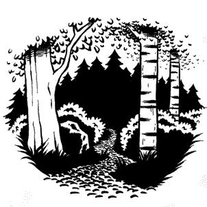 Иллюстрация к книге — Кривотопь. Перевёртыш [i_008.jpg]