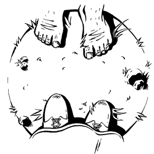 Иллюстрация к книге — Кривотопь. Перевёртыш [i_017.jpg]