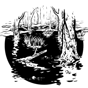 Иллюстрация к книге — Кривотопь. Перевёртыш [i_018.jpg]