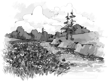 Иллюстрация к книге — Мандариновый лес [_02.jpg]