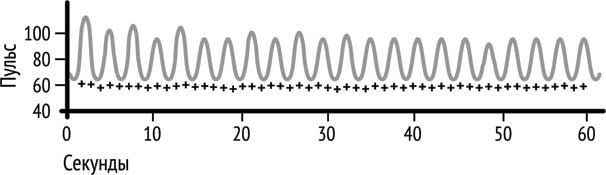 Иллюстрация к книге — Ледяной человек. Сверхвозможности вашего организма [i_008.jpg]