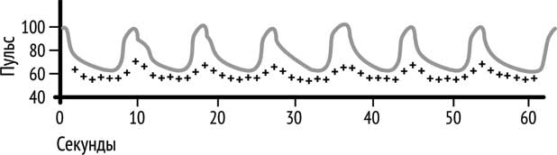 Иллюстрация к книге — Ледяной человек. Сверхвозможности вашего организма [i_009.jpg]