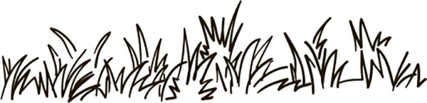 Иллюстрация к книге — Тайные знаки природы. Как стать погодным детективом и читать приметы [i_005.jpg]