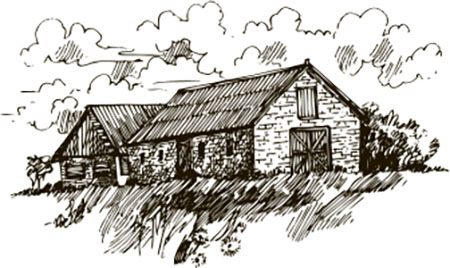 Иллюстрация к книге — Тайные знаки природы. Как стать погодным детективом и читать приметы [i_007.jpg]