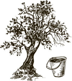 Иллюстрация к книге — Тайные знаки природы. Как стать погодным детективом и читать приметы [i_010.jpg]