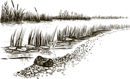 Иллюстрация к книге — Тайные знаки природы. Как стать погодным детективом и читать приметы [i_011.jpg]