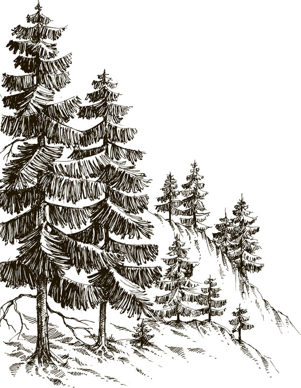 Иллюстрация к книге — Тайные знаки природы. Как стать погодным детективом и читать приметы [i_015.jpg]