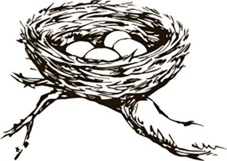 Иллюстрация к книге — Тайные знаки природы. Как стать погодным детективом и читать приметы [i_016.jpg]