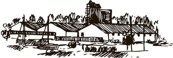 Иллюстрация к книге — Тайные знаки природы. Как стать погодным детективом и читать приметы [i_019.jpg]