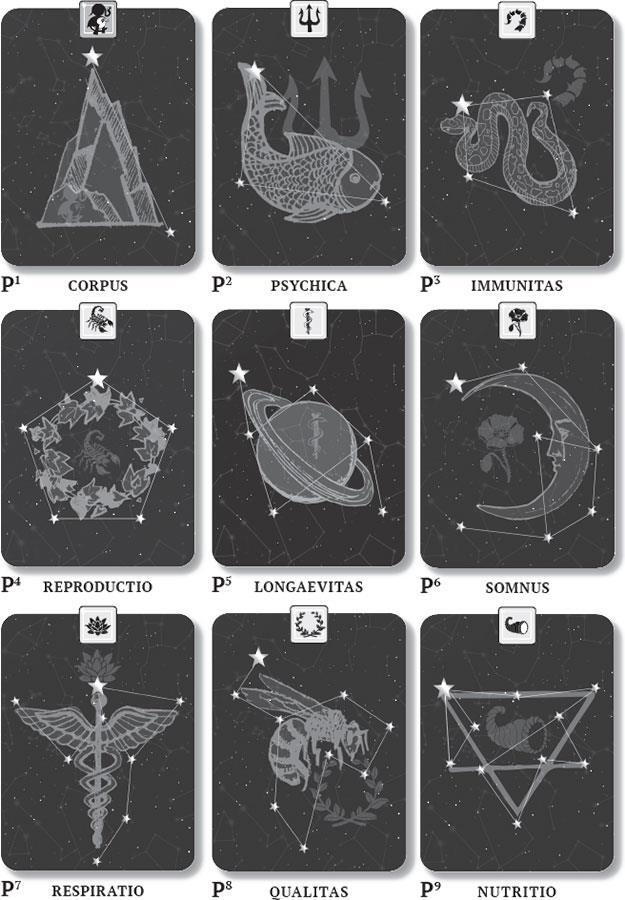 Иллюстрация к книге — Karmamagic [i_005.jpg]