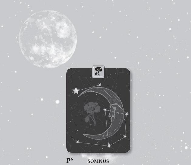 Иллюстрация к книге — Karmamagic [i_017.jpg]