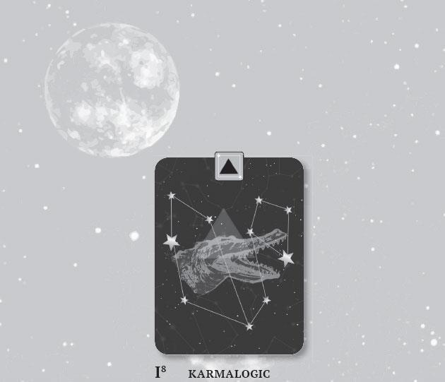 Иллюстрация к книге — Karmamagic [i_042.jpg]