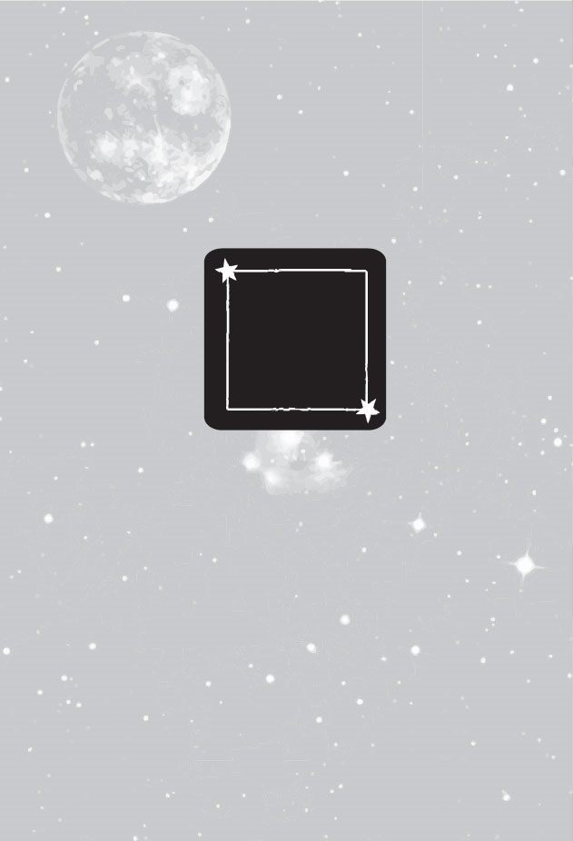 Иллюстрация к книге — Karmamagic [i_046.jpg]