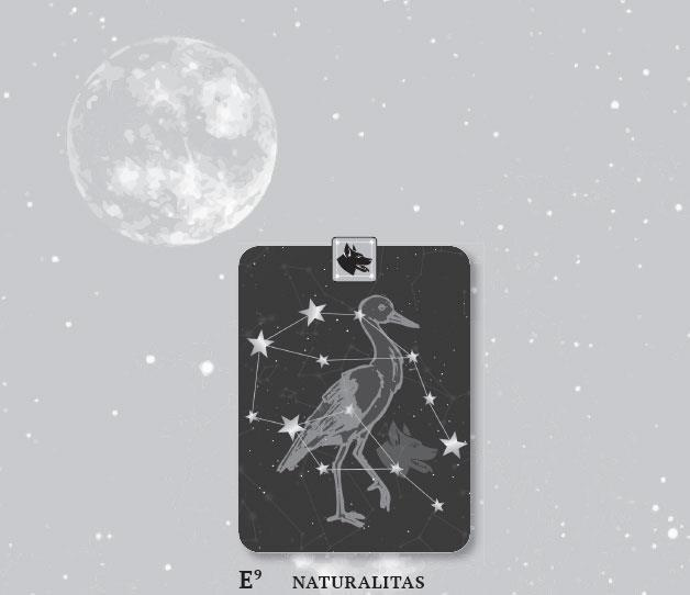 Иллюстрация к книге — Karmamagic [i_076.jpg]