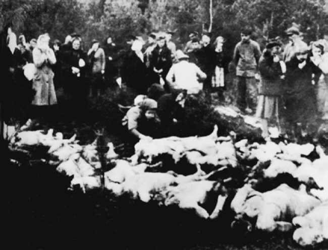 Иллюстрация к книге — Прибалтика. 1939–1945 гг. Война и память [i_044.jpg]