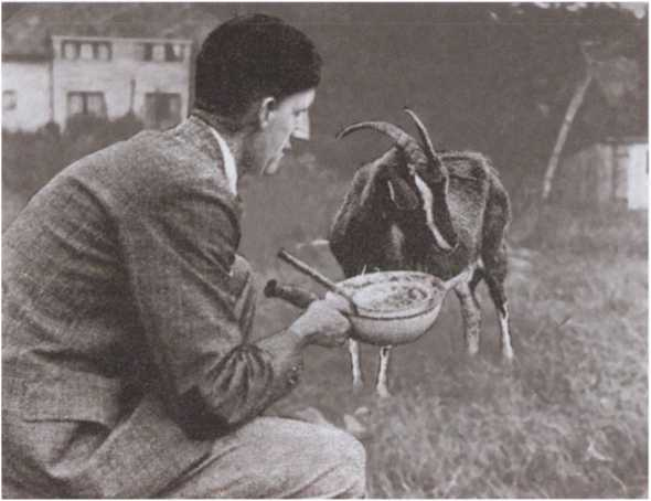 Иллюстрация к книге — Оруэлл [i_045.jpg]