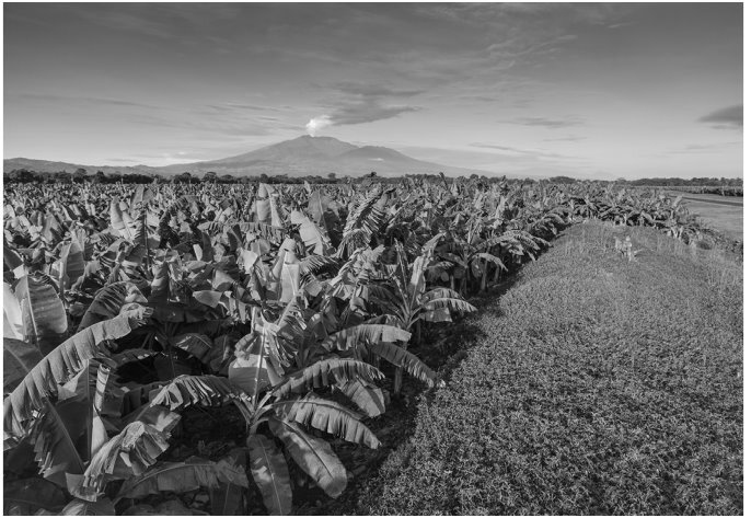 Иллюстрация к книге — Мой генерал Торрихос [i_048.jpg]