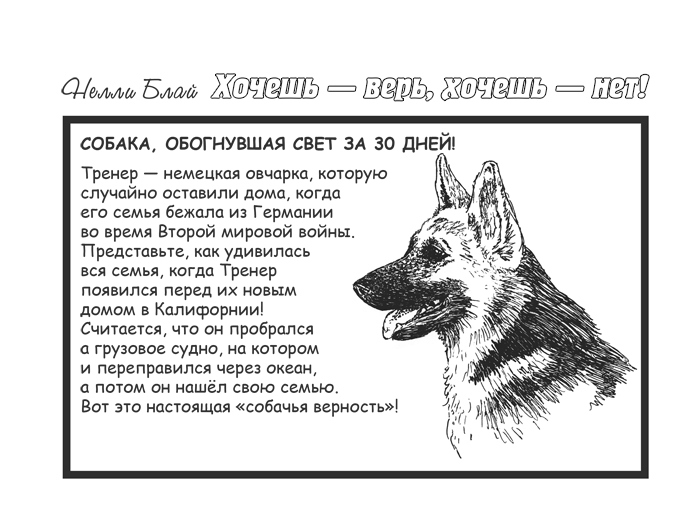 Иллюстрация к книге — Когда деревья молчат [i_001.jpg]